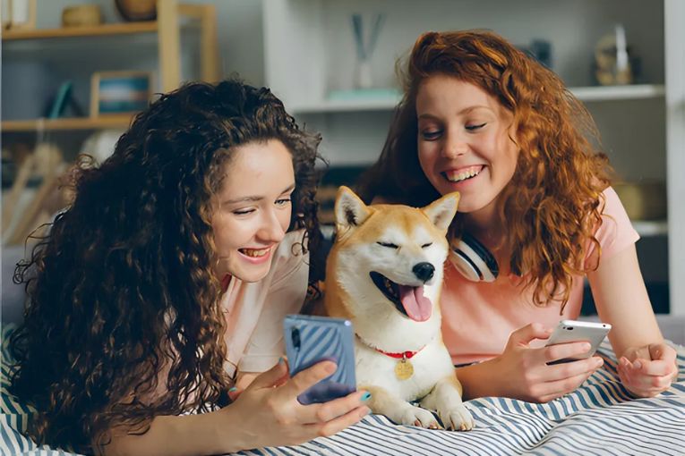 Train Your Dog with the Jugbow Remote Training Collars